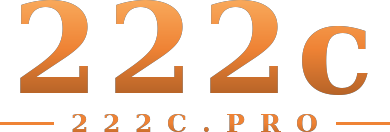 222c logo